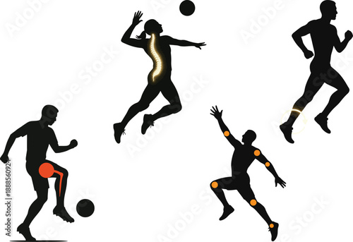 Athletic Movement Anatomy Highlighting Spine Joints Vector Flexibility Strength Sports Performance