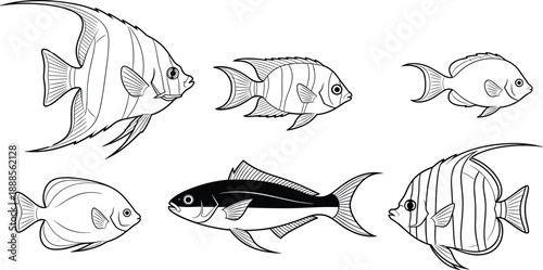 Stylized fish illustration set in black and white line art showing diverse fin shapes for aquatic, marine, and decorative design projects.