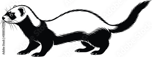 Ferret silhouette illustration