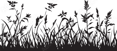 A black silhouette vector illustration of meadow grass, spring flowers, and bamboo leaves isolated on a white background for a floral nature design