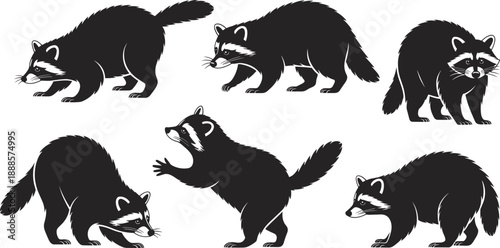 Raccoon silhouette vector set, wild animal poses illustration, forest wildlife design elements, black flat mammal graphics collection isolated