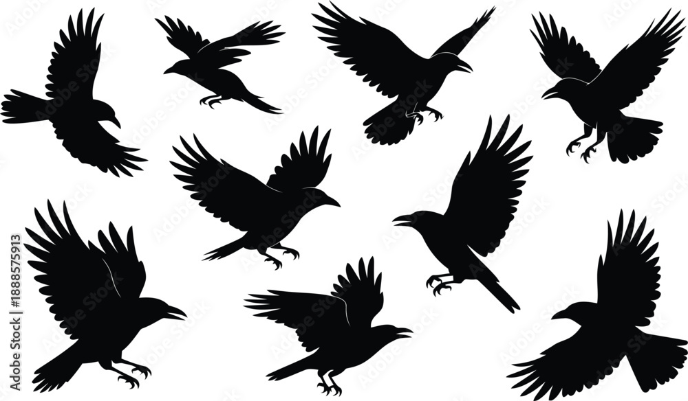 Fototapeta premium Collection of various black raven silhouettes in different flight poses on a clean white background