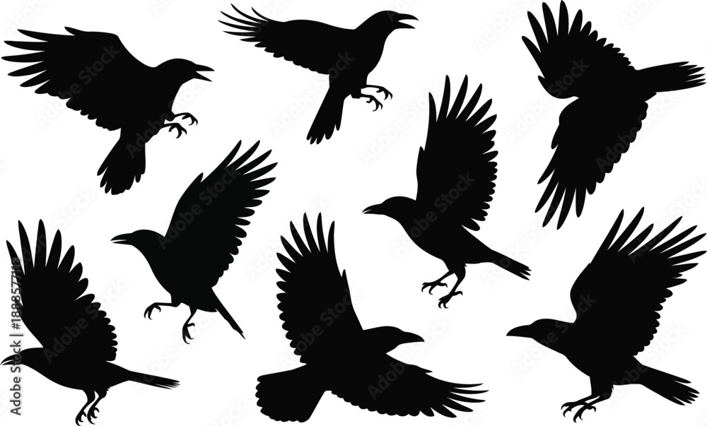 Obraz premium Dynamic black silhouettes of multiple crows flying and taking off showing their powerful wing movements