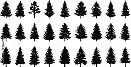 Group of twenty-four evergreen coniferous tree silhouettes, including pine and fir varieties, for natural landscape design.