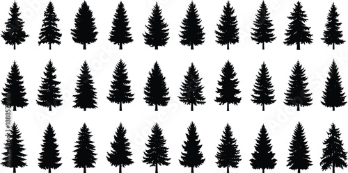 Collection of diverse black silhouette pine trees, evergreen coniferous forest elements, isolated on white background.