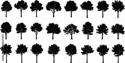 Assortment of deciduous and evergreen tree silhouettes, perfect for creating natural scenes and environmental graphics.