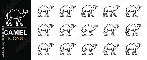 Arabian camel line illustration icons set