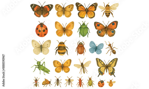Vintage Insect Collection: Butterflies, Bees, Ladybugs for Nature & Design Projects