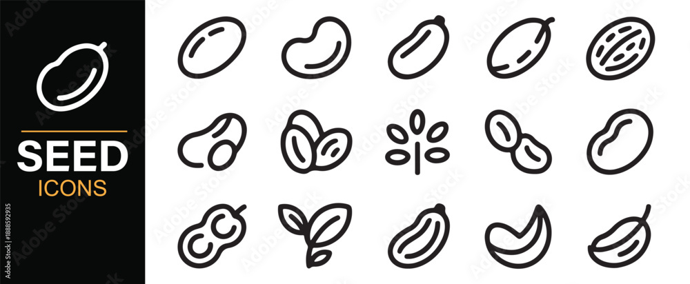 Fototapeta premium Botanical bean and seed line icons for eco and nature projects