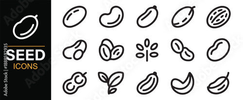 Botanical bean and seed line icons for eco and nature projects