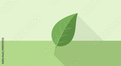 A single green leaf is depicted against a muted green and light green background