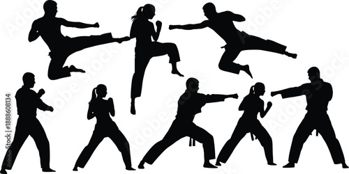 Black Silhouette Vector Set of People Practicing Martial Arts