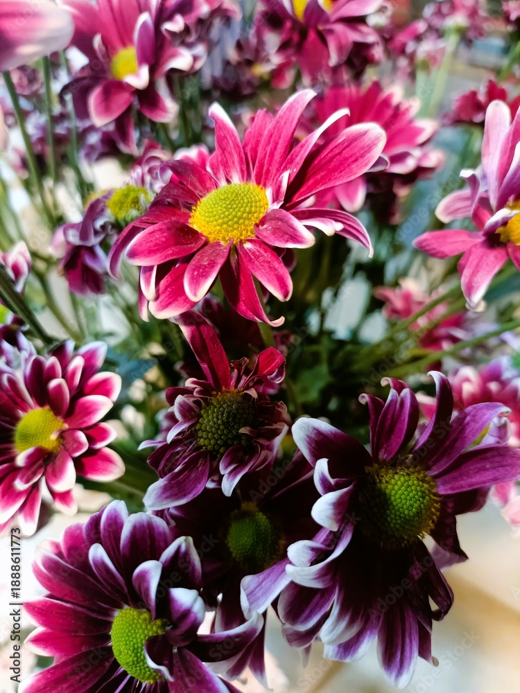 Obraz premium Colorful flowers arranged in a vase on a table during daytime in a home setting with sunlight illuminating the room and casting shadows on the surface