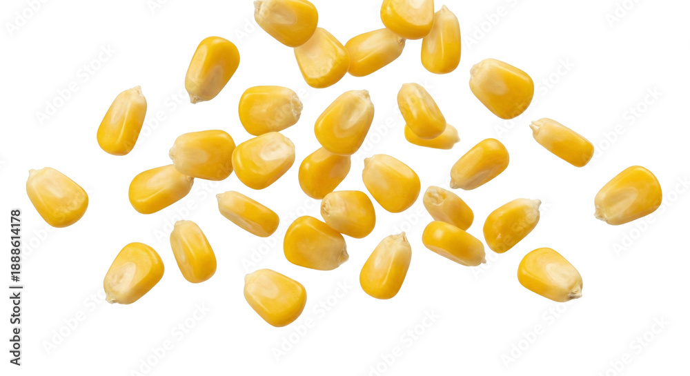 Fototapeta premium Vibrant yellow corn kernels dynamically falling and scattering, showcasing fresh sweet maize as a healthy natural food ingredient, isolated on transparent background.