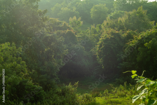 misty morning in the mountains