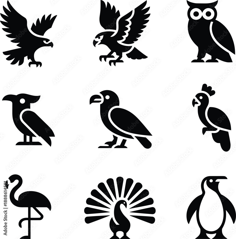 Obraz premium Black silhouettes of various birds in different poses