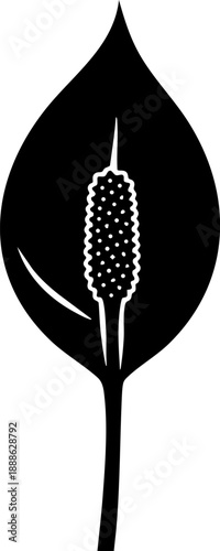 Peace lily flower silhouette isolated on white background minimalist spathiphyllum bloom with sail-like petal and spadix botanical illustration