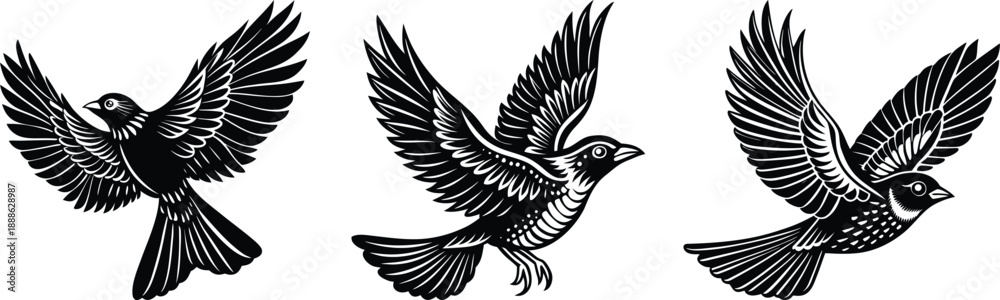 Fototapeta premium Three black and white eagle illustrations in flight