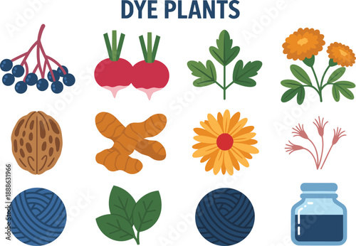 Colorful dye plants with yarn and dye bottle natural dyes