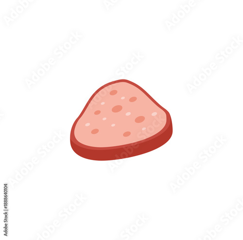 Bologna sausage sliced. Vector illustration.