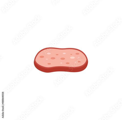 Bologna sausage sliced. Vector illustration.