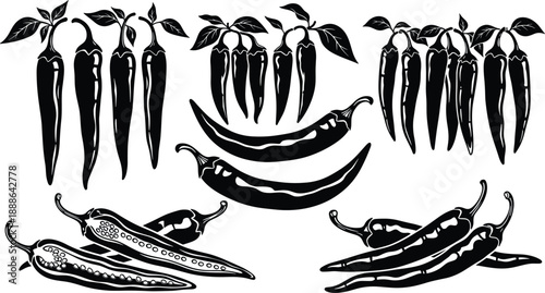 Chili pepper silhouettes collection, hot spicy vegetable illustrations set, organic food ingredient, cooking seasoning concept, Mexican cuisine design, black white art
