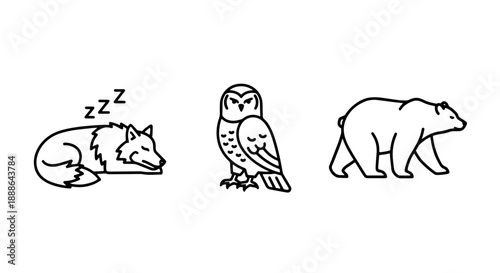 Cute line art icons of a sleeping wolf, an owl, and a bear, representing forest animals and wildlife.