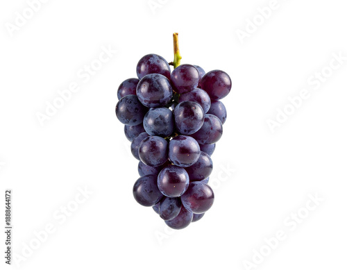 Wallpaper Mural A cluster of deep purple grapes hangs against a black background Torontodigital.ca