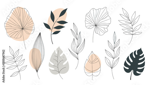 Artistic collection of various leaf sketches combined with soft pastel shapes for a modern minimalist botanical design.