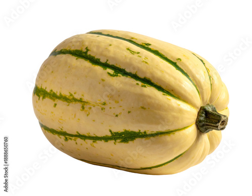 A pale yellow squash with green stripes rests on a dark background