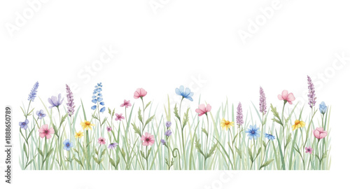 colorful spring flowers