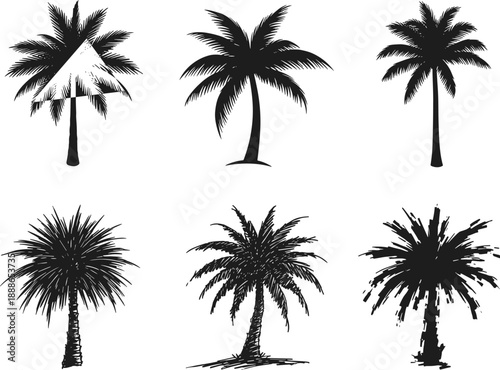 Black palm tree silhouettes set in six artistic variations isolated on white background, tropical nature illustration collection for design use