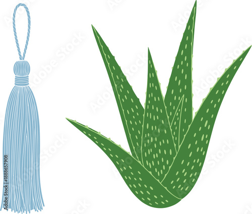 Aloe vera plant and decorative tassel vector illustration with botanical leaf and hanging accessory