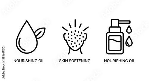 Natural Nourishing Oils for Skin Softening and Hydration in Beauty and Skincare Routines