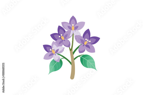 Purple flowers with green leaves illustration isolated on a white background, representing nature and bloom