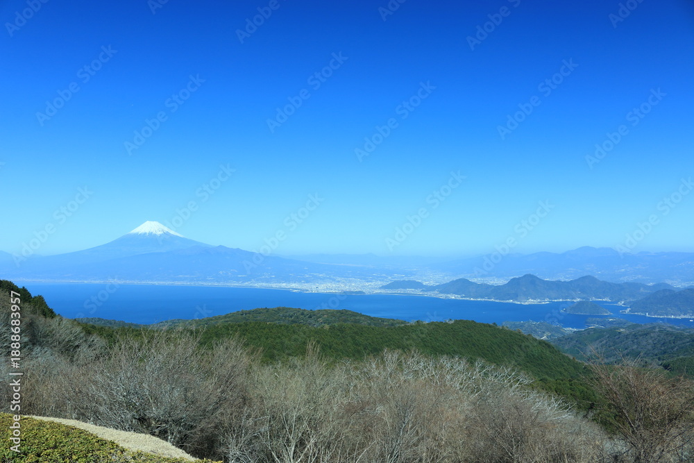 Fototapeta premium だるま山高原から見る富士山