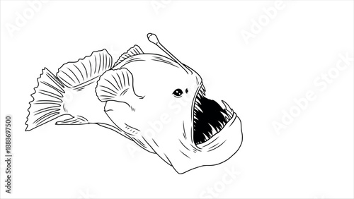 lineart animal illustration with white background angler fish