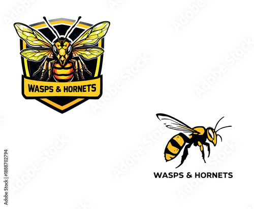 Vsai wasp and hornet insect logo design concept