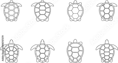 Sea Turtle Outline Illustration Set Showing Top View Shell Variations for Coloring Pages, Marine Biology Education, Conservation Graphics, and Clean Vector Design