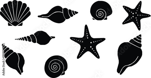 simple black and white vector illustration depicting a variety of detailed ocean seashells and starfish perfectly isolated on a plain background creating a minimalist marine collection 