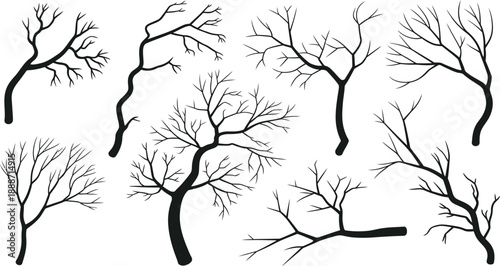 Set of Dead Tree Silhouettes, Vector Collection of Bare Leafless Branches and Trunks Isolated on illustration