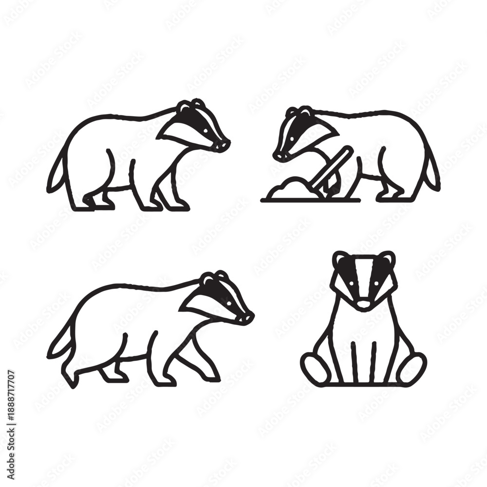 Obraz premium Badger illustrations in various poses and actions
