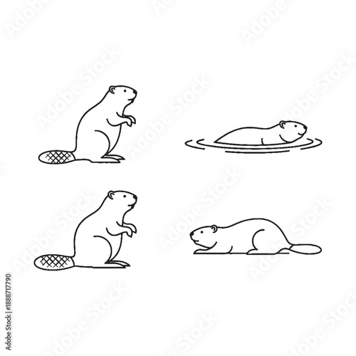  Beavers in various poses on land and water