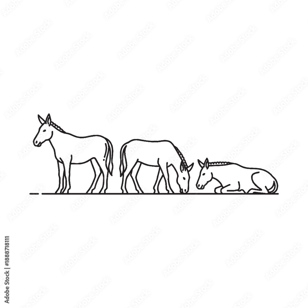 Fototapeta premium Donkeys follow each other line drawing