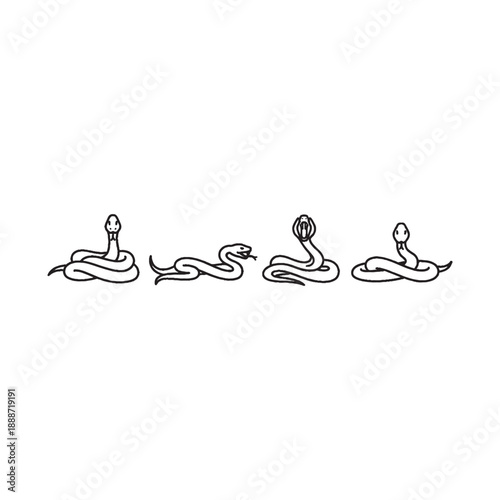  Four snakes in different poses on white background black line art illustration