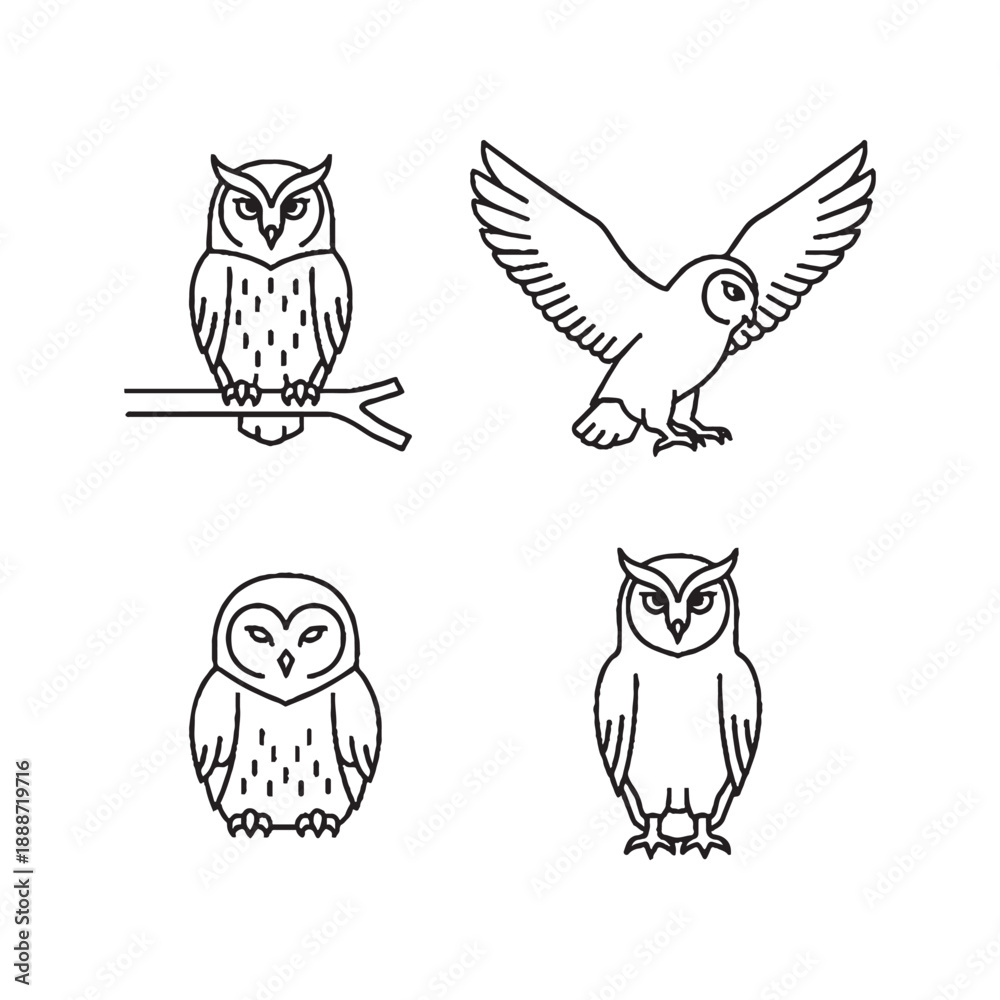 Obraz premium Four black and white illustrations of owls in various poses including perched flying