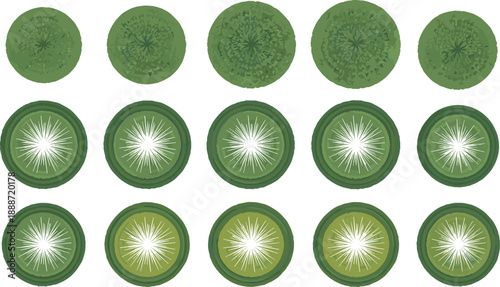 Stylized kiwi slice illustrations in varied textures and colors for fruit design reference, botanical visualization, and food-themed artwork