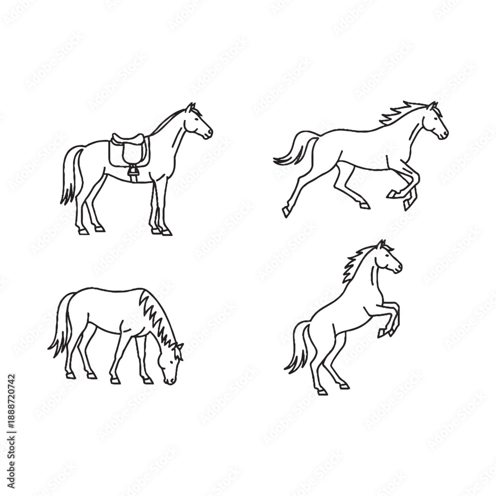 Fototapeta premium Horses in various poses with saddle and movement