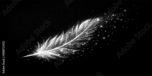 A single fluffy white swan feather with a soft plume texture rests isolated on a black background, captured in a macro shot to highlight the delicate detail of this elegant bird wing object

Would you