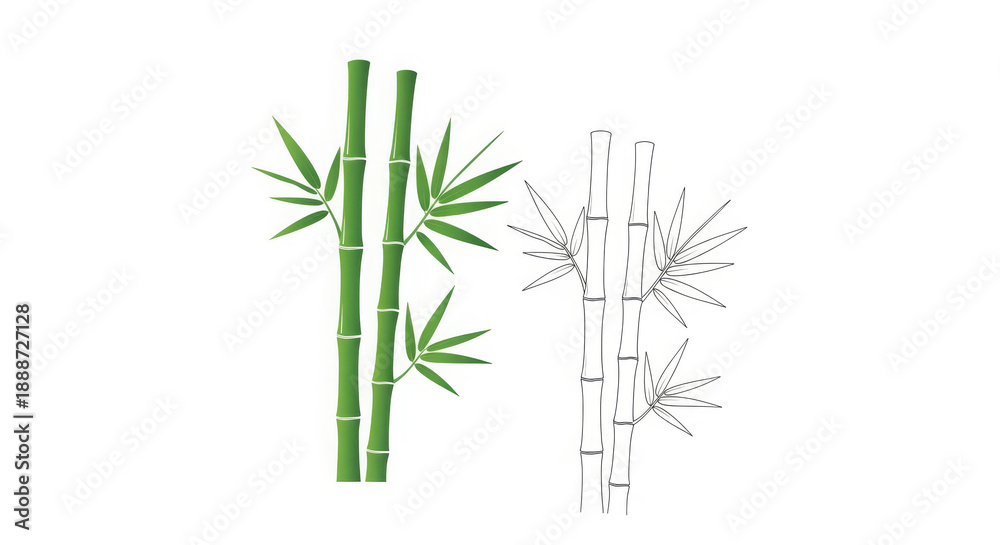 Obraz premium Fresh Green Bamboo Stalks with Leaves and Minimalist Outline Drawing Isolated on Clean White